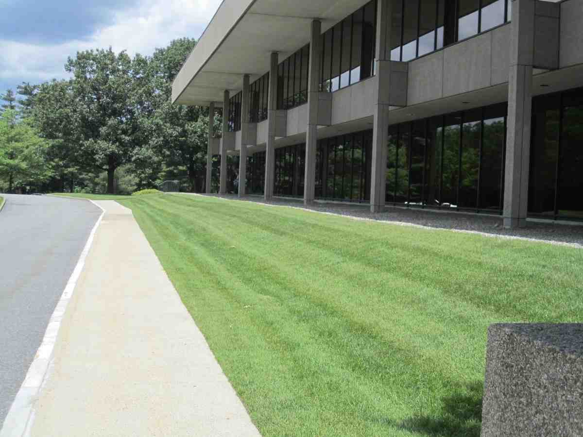 commercial property lawn maintenance - commercial property lawn maintenance