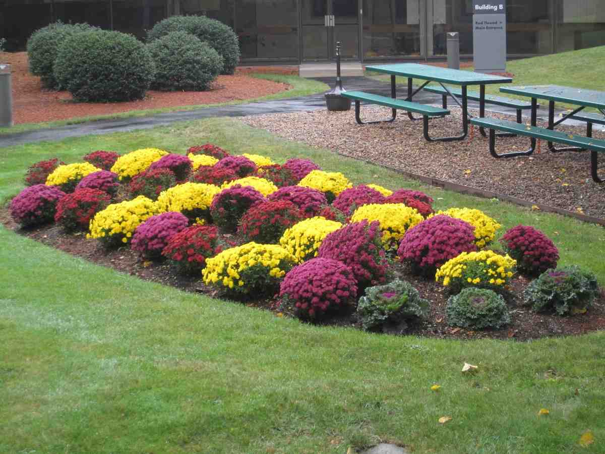 landscape design - landscape design companies near me