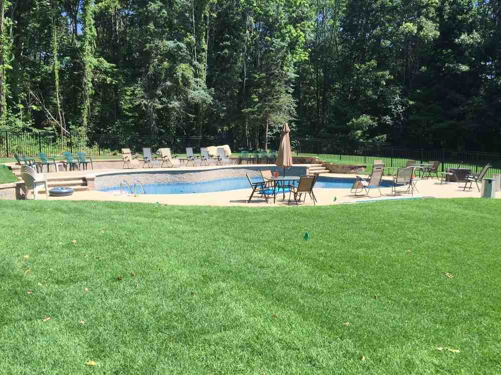 planter-lined walkway blending hardscape and softscape - hardscaping vs softscaping