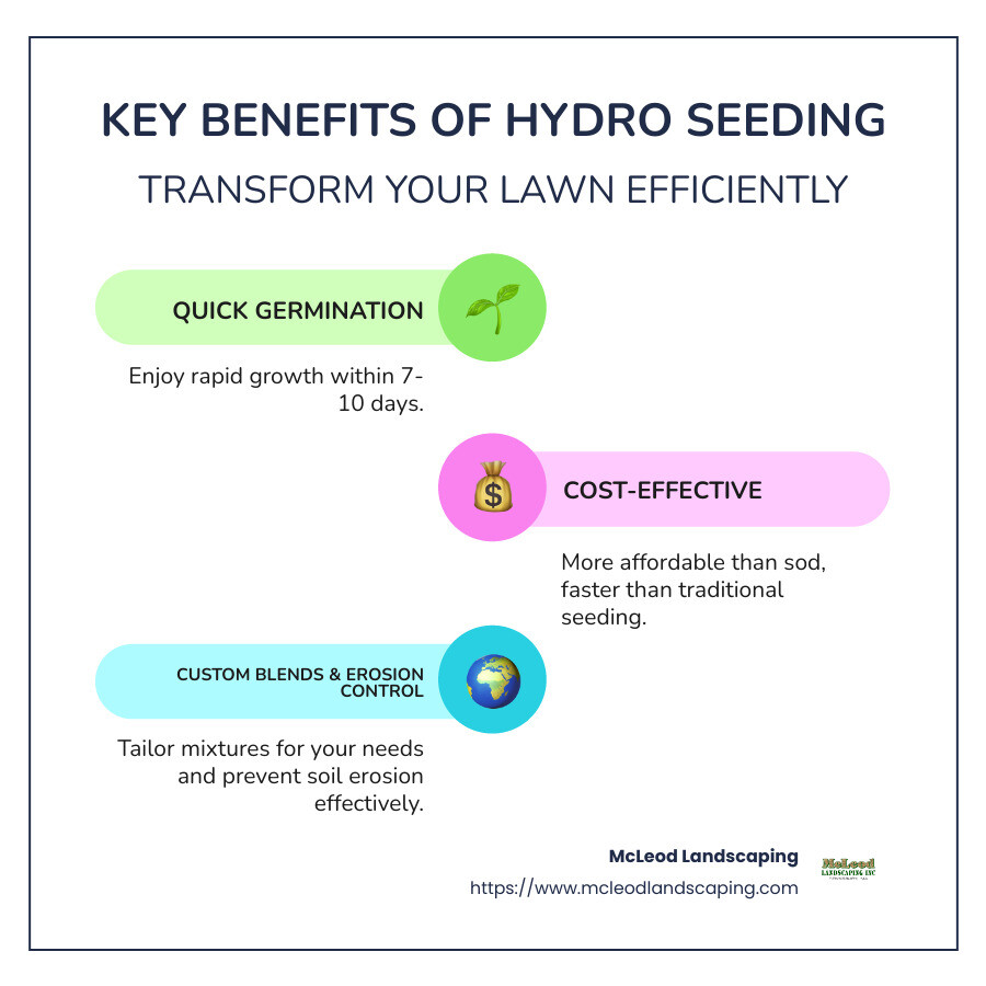 Key Benefits of Hydro Seed: Quick Growth, Cost-Effective, Customizable, Erosion Control - hydro seed infographic infographic-line-3-steps-colors