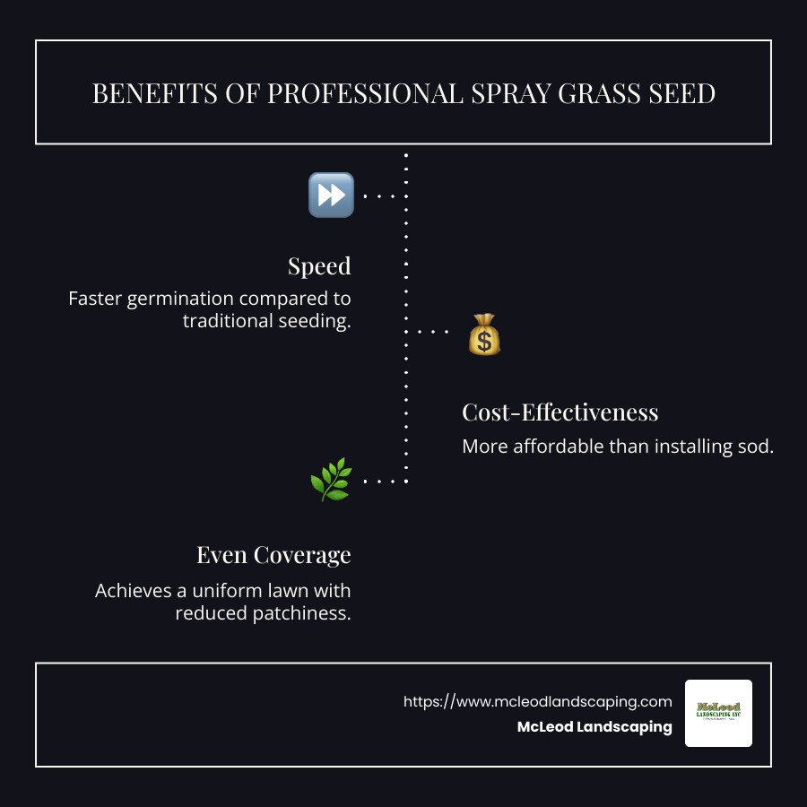 Infographic detailing benefits of professional spray grass seed: speed, cost-effectiveness, even coverage, and erosion control. - professional spray grass seed infographic infographic-line-3-steps-dark