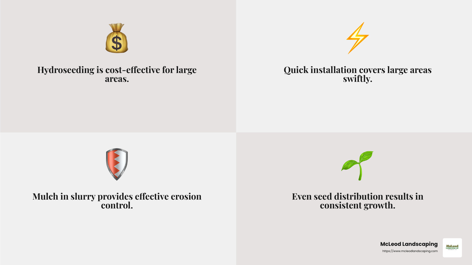 Hydroseeding Cost-Effectiveness - professional spray grass seed infographic 4_facts_emoji_grey