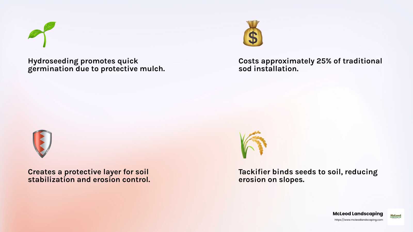 Hydroseeding Benefits Infographic - commercial hydroseeding infographic 4_facts_emoji_light-gradient