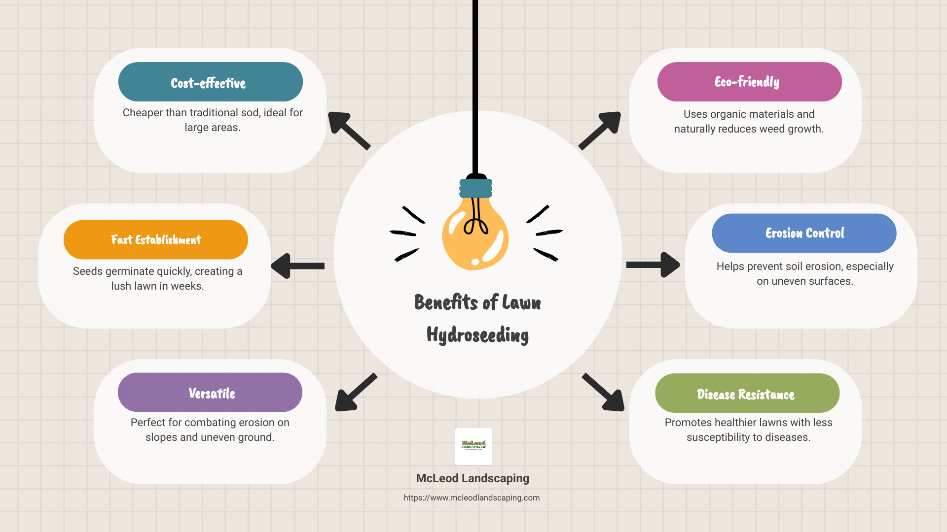 Infographic detailing the benefits of lawn hydroseeding, highlighting cost savings, fast germination, and erosion control over traditional methods, featuring a comparison chart of visuals for hydroseeding, seeding, and sod installation. - lawn hydroseeding infographic brainstorm-6-items