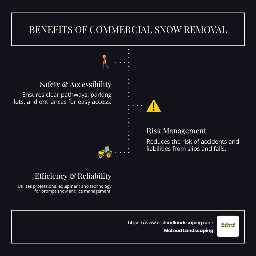 Overview of commercial snow removal benefits: safety, efficiency, risk management - commercial snow removal company infographic infographic-line-3-steps-dark