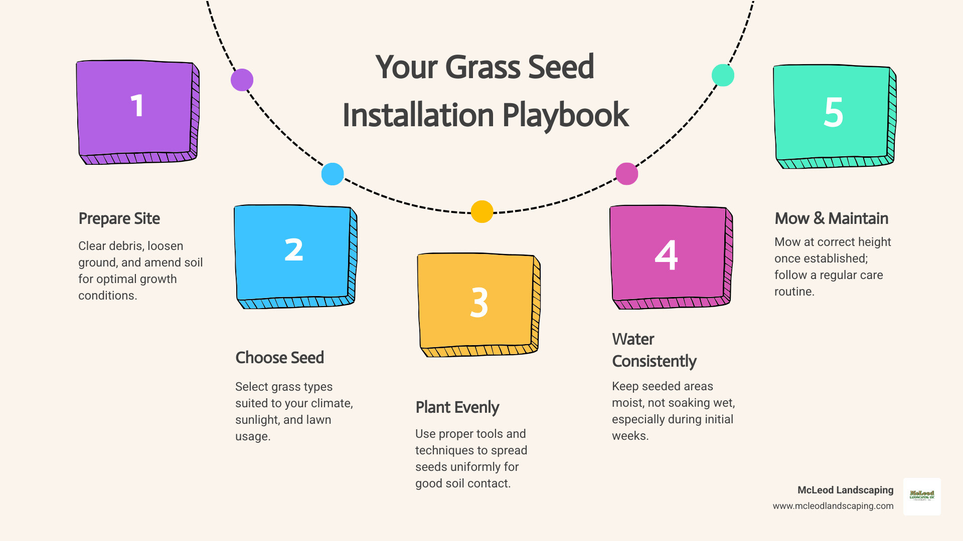 Infographic showing the 4 main stages of grass seed installation: 1. Site Preparation, 2. Seed Planting, 3. Watering for Establishment, and 4. Ongoing Maintenance. Each stage includes small icons representing tools or actions. - grass seed installation infographic process-5-steps-informal