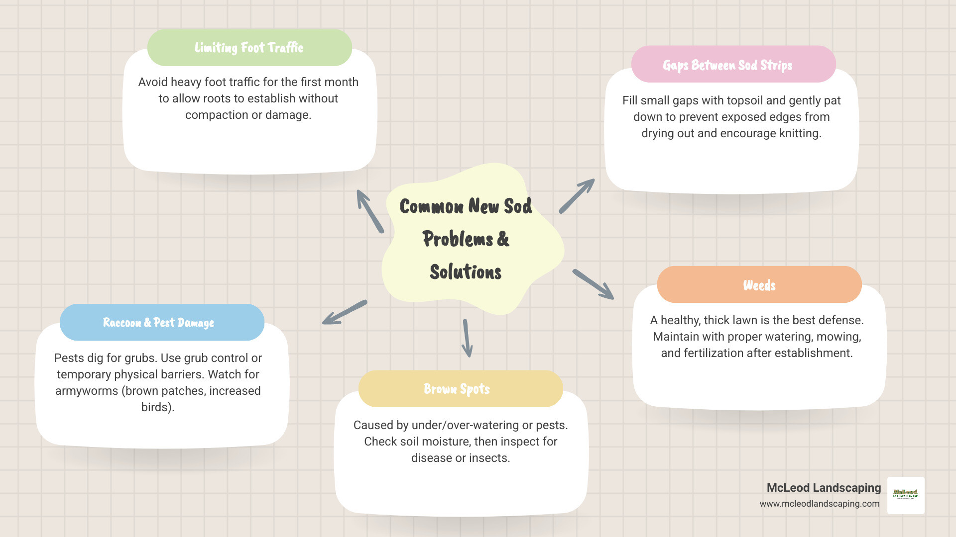 Table comparing common new sod problems, their likely causes, and effective solutions - installing new grass sod infographic mindmap-5-items