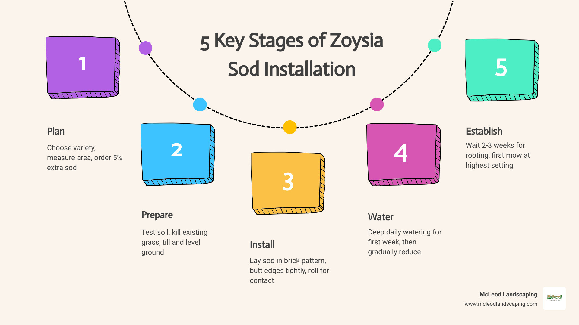 Infographic showing the 5 key stages of zoysia sod installation: Plan (measuring area and choosing variety), Prepare (soil testing and ground preparation), Install (laying sod in brick pattern), Water (establishing proper irrigation schedule), and Establish (monitoring root development and first mowing) - installing zoysia sod infographic process-5-steps-informal