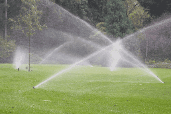 Irrigation Systems Burlington MA