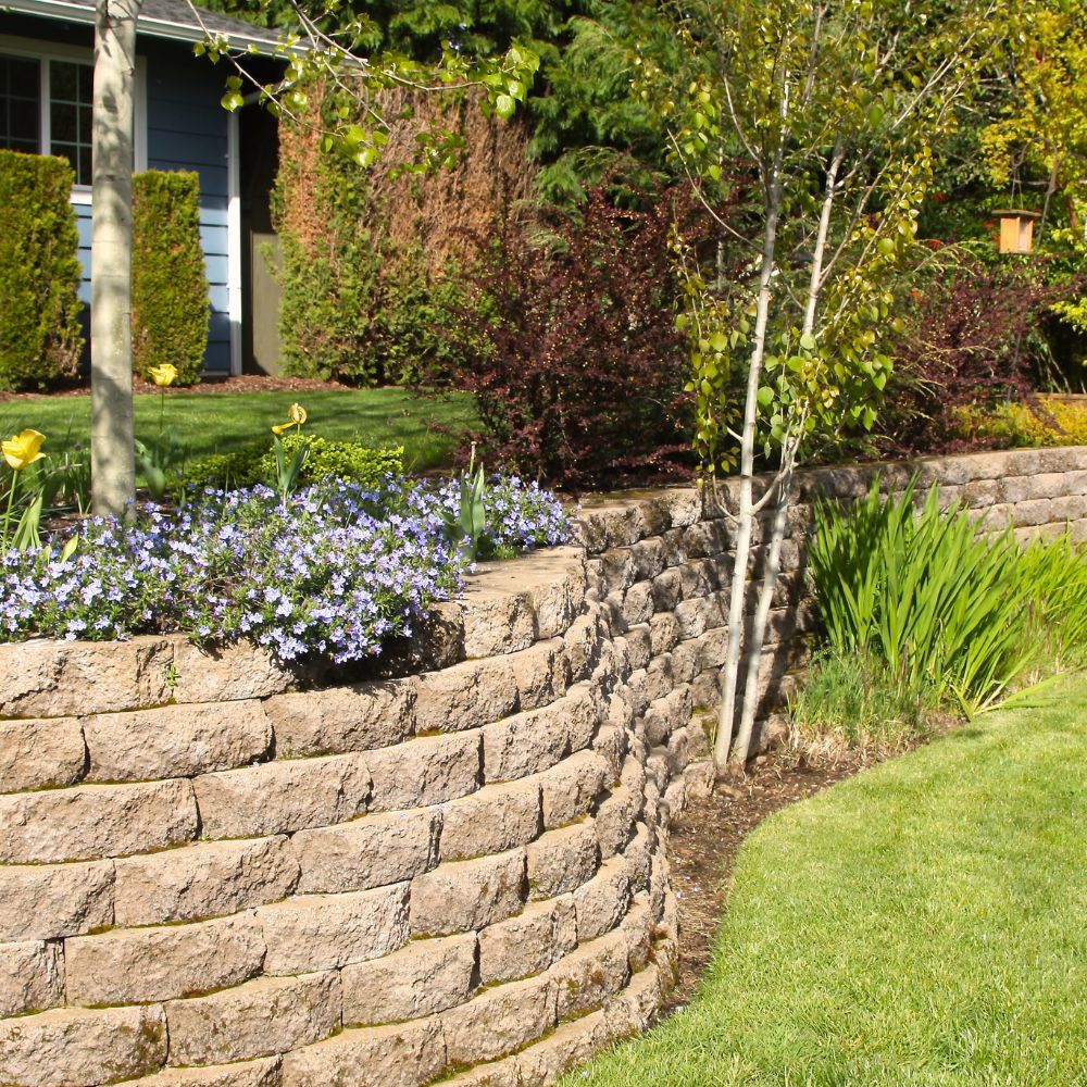 McLeod Landscaping Transform Your Outdoor Space: A Beginner&#8217;s Guide to Backyard Design