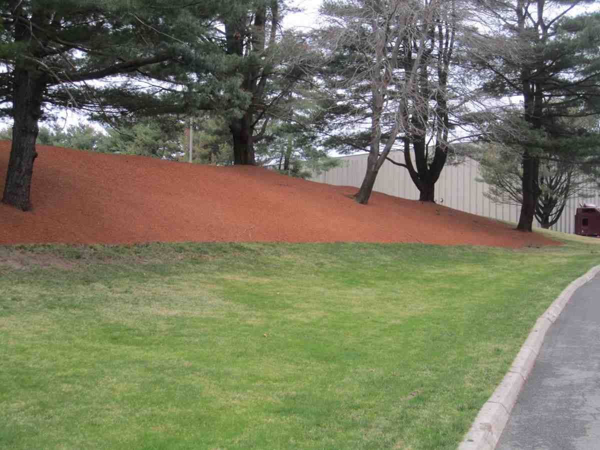 McLeod Landscaping Hydroseeding Here: What to Consider Before You Seed