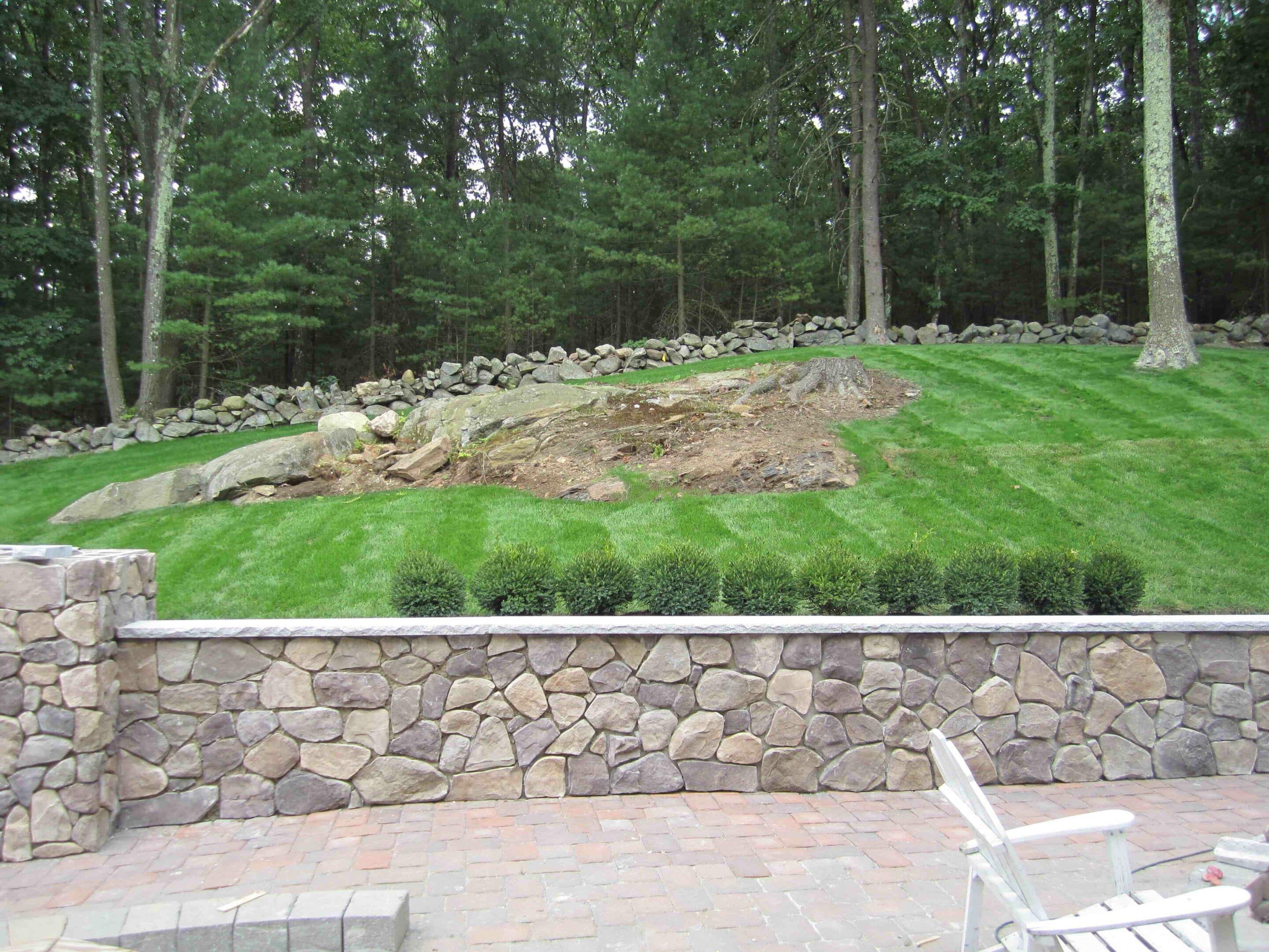 McLeod Landscaping Mastering Softscape Design: From Plant Selection to Seasonal Maintenance