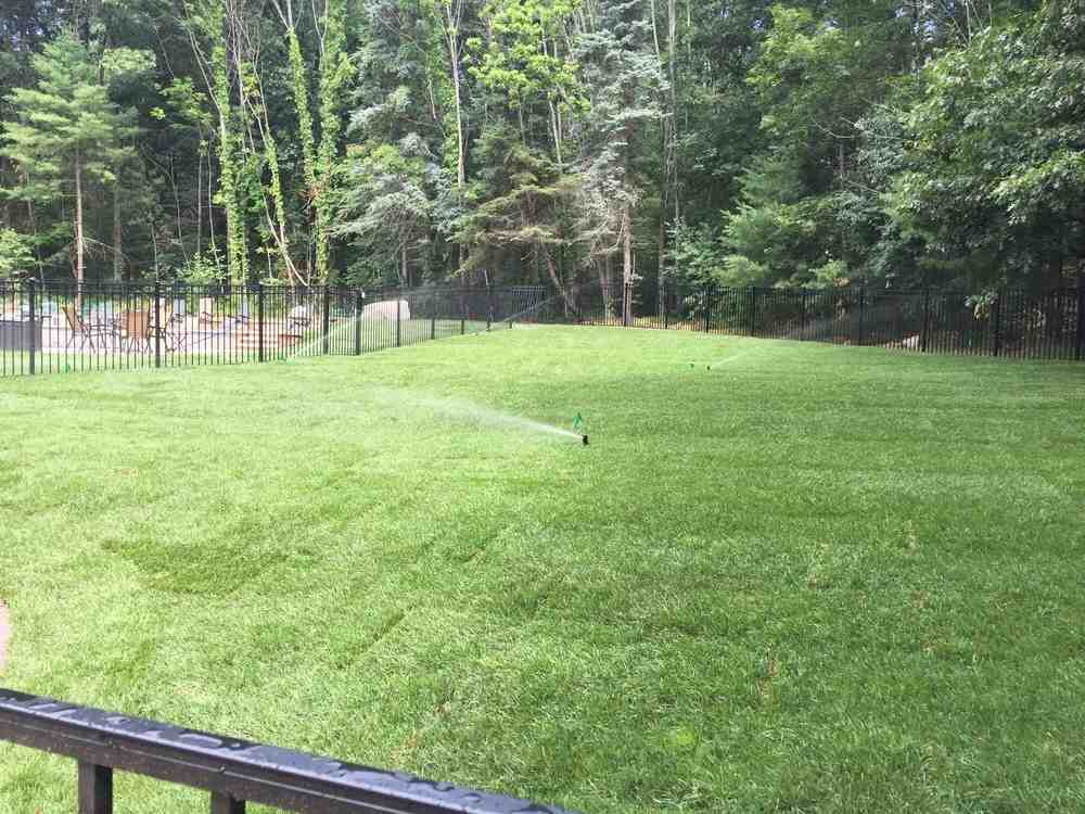 McLeod Landscaping Know Your Yard Terms: Hardscape vs Landscape Explained