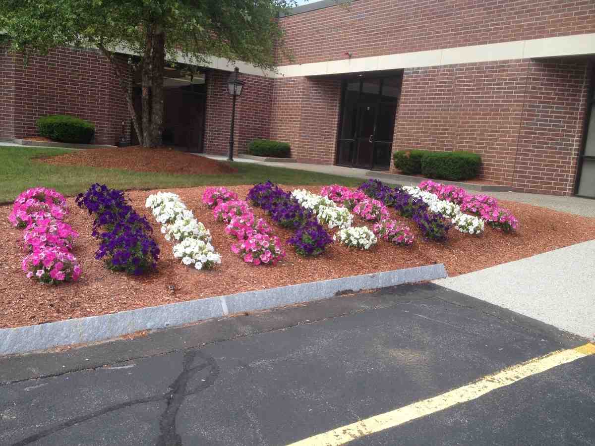 McLeod Landscaping Softscape Made Simple—A Beginner&#8217;s Guide to Garden Design