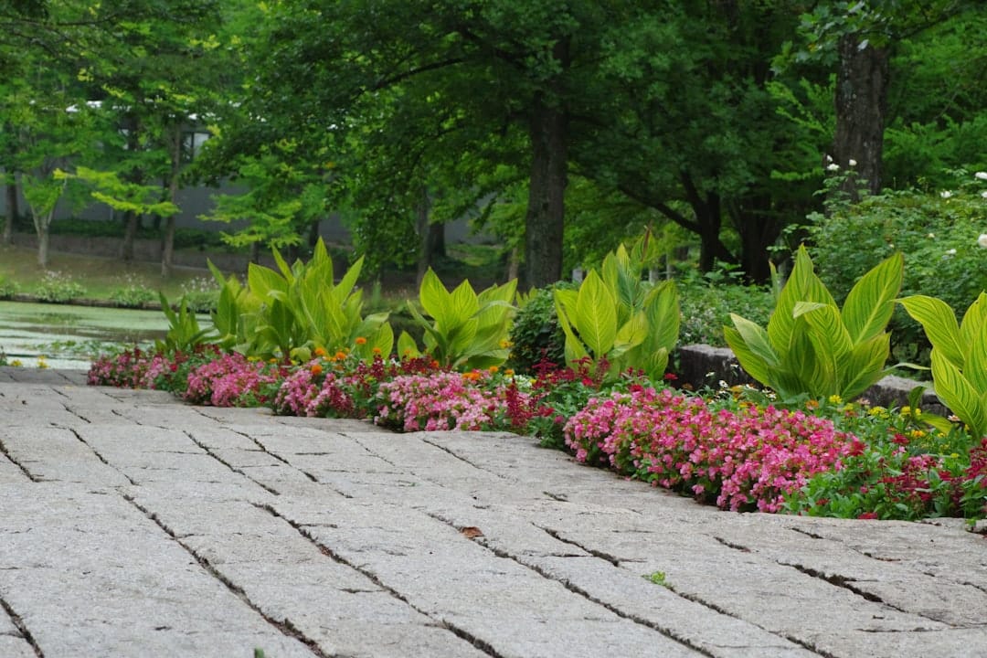McLeod Landscaping Unlock Your Outdoor Oasis: Inspiring Paver Landscaping Designs